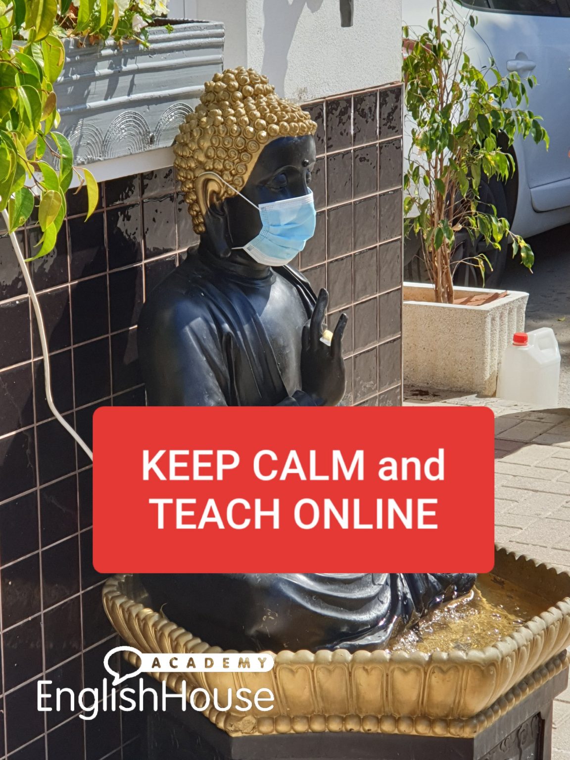 Llevamos Todas Las Clases Online